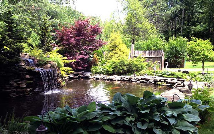 Three-Pines-Campground-koi-pond-and-trees