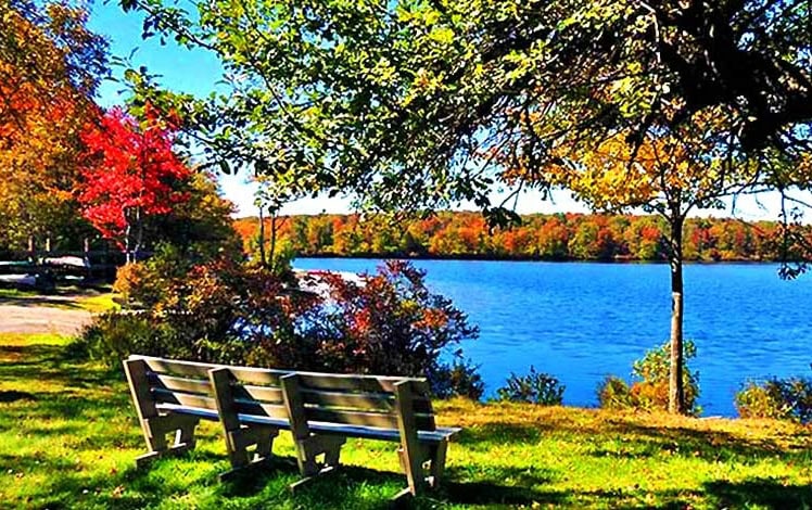 Tobyhanna State Park Shoreline