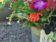Touche à Tout Gardens flower bucket