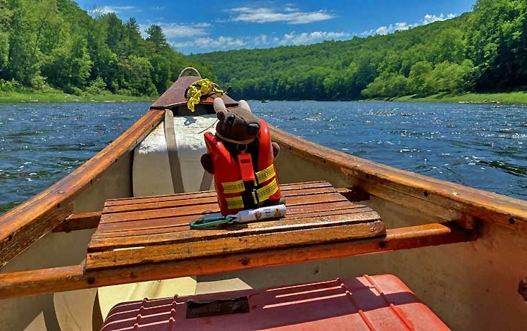 Upper Delaware Scenic and Recreational River