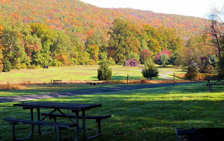 Worthington State Forest picnic area along the ridge