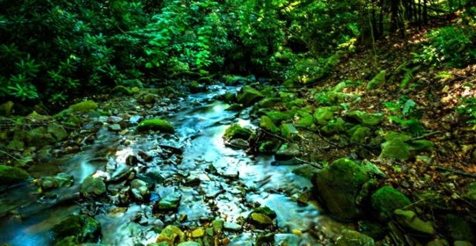 Yankee Run Nature Preserve stream ray roper pocono photo club