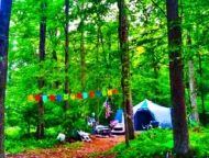 Yasgur Road Campground Tent Site