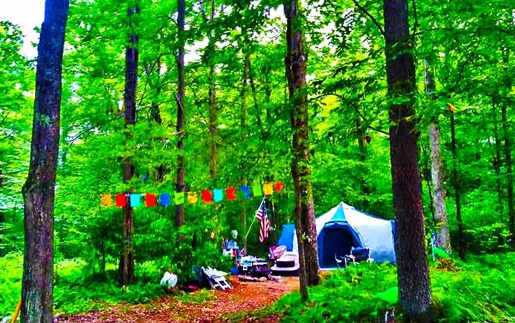 Yasgur Road Campground Tent Site