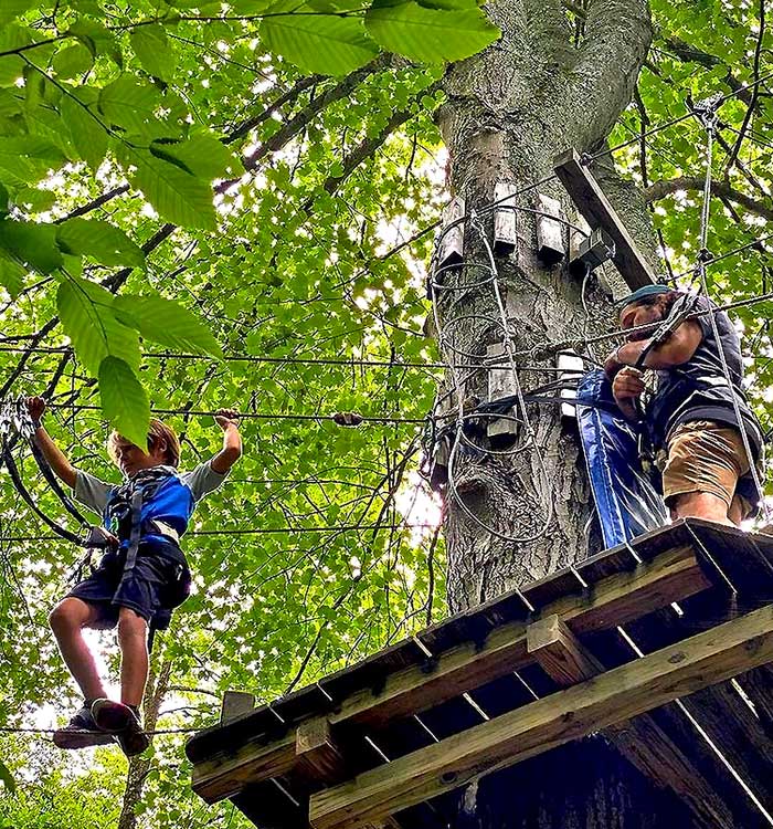 kid on treetops course