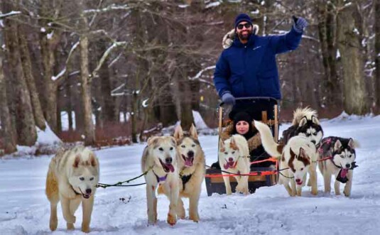 arctic paws dog sled tours couple with dogs