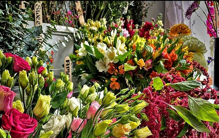 bashful blooms wall of shelves of flowers