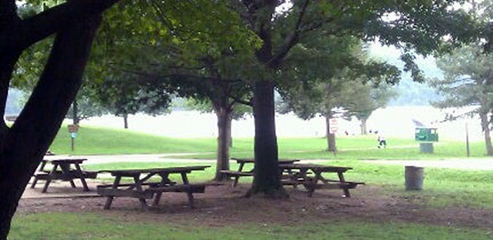 beach-at-beltzville-state-park-picnic-area