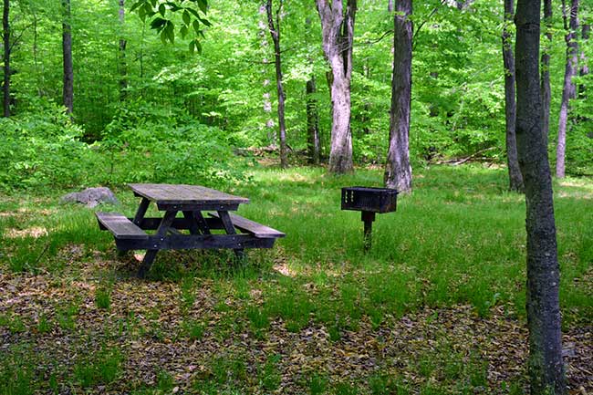 State park clearance grill