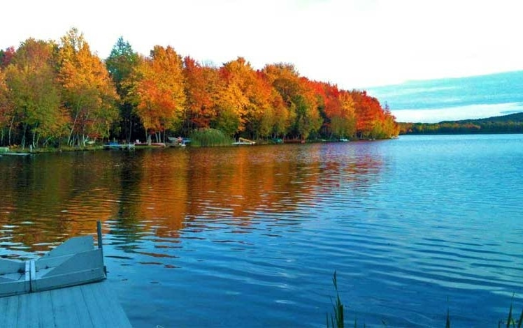 big bass lake view