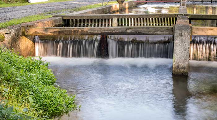 big-brown-fish-&-pay-lakes-hatchery-water-discharge