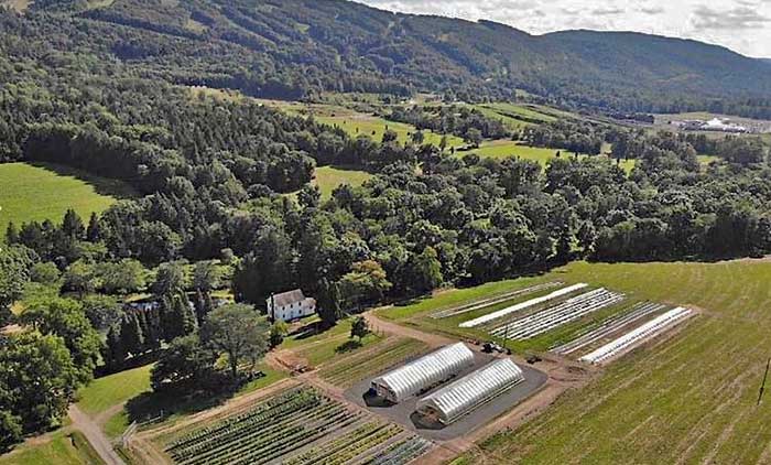 blue star farms aerial view