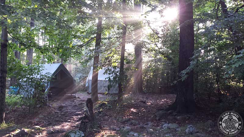 camp minsi tents in the woods