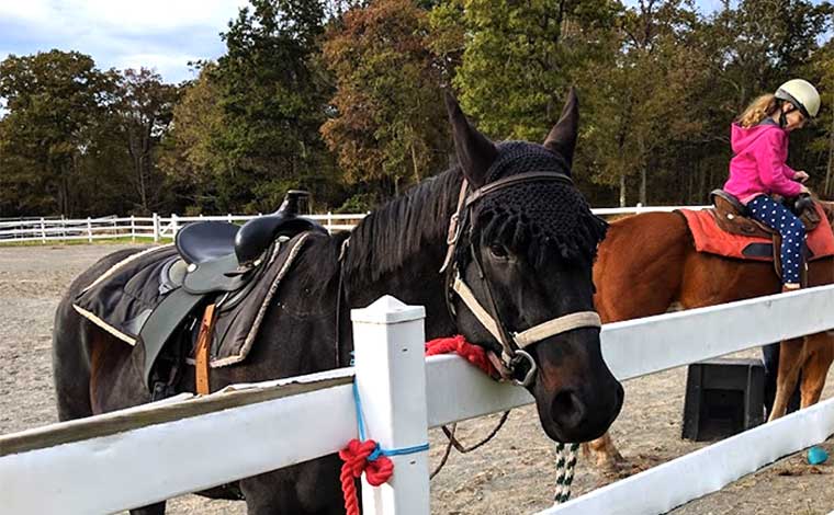 camp-sppers-YMCA-horses