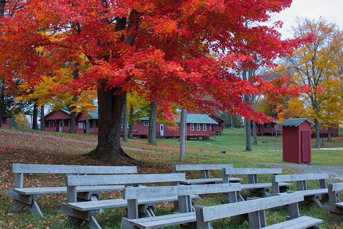 camp-starlight-cabins-in-autumn