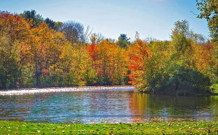 chestnut lake campground lake with autumn trees