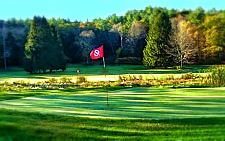 golf hole with flag
