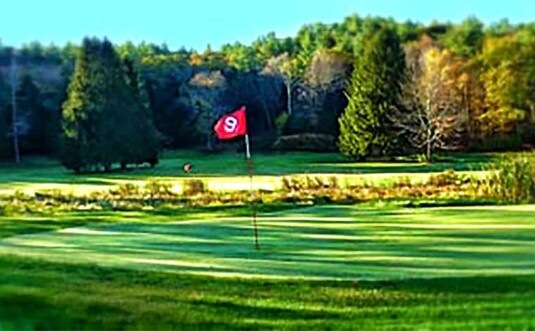golf hole with flag