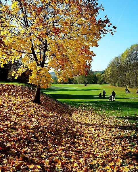 country club of the poconos green in autumn