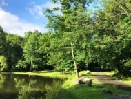 cranberry-run-campground-pond-lake