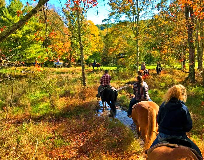 daisy field farm folks on horseback in autumn