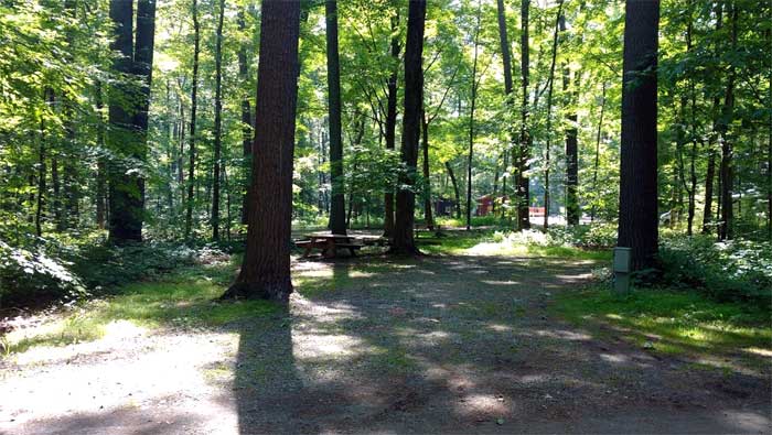 dingmans-campground-sites-in-the-woods