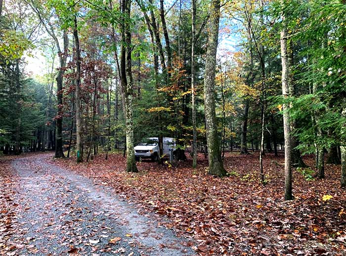 dingmans-campground-van-in-the-woods