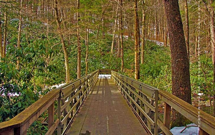 Dingmans Creek trail boardwalk