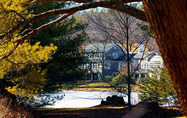 dorflinger glass building with trees