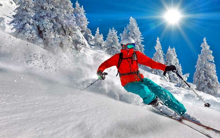 elk mountain skier