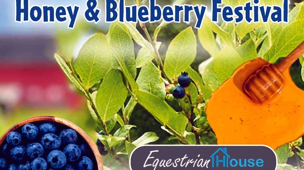 Honey and Blueberry Festival poster