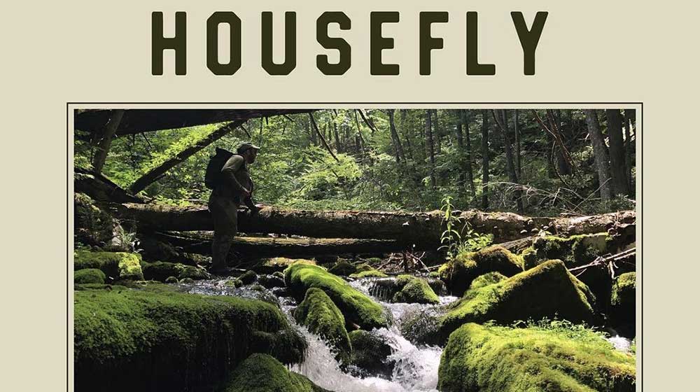 event housefly fishing in NYC