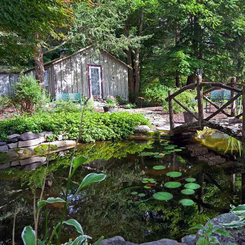 frogtown inn bed and breakfast pocono frog lily pond