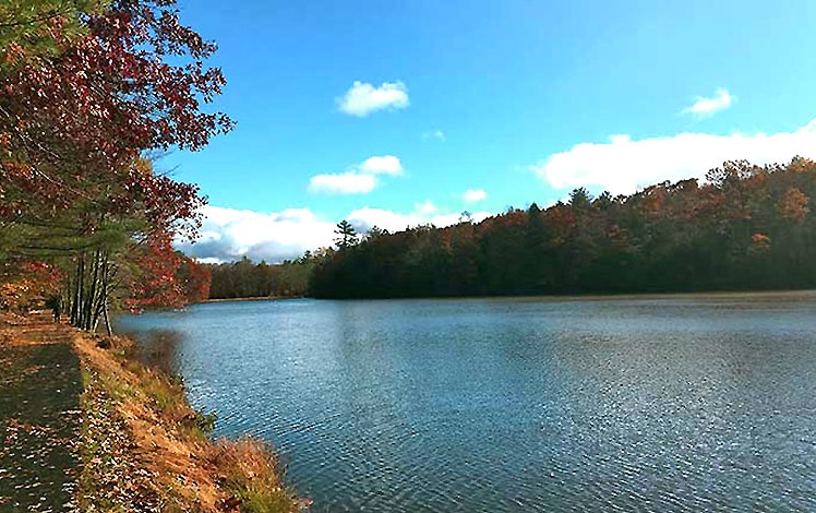 golden slipper camp lake and shoreline