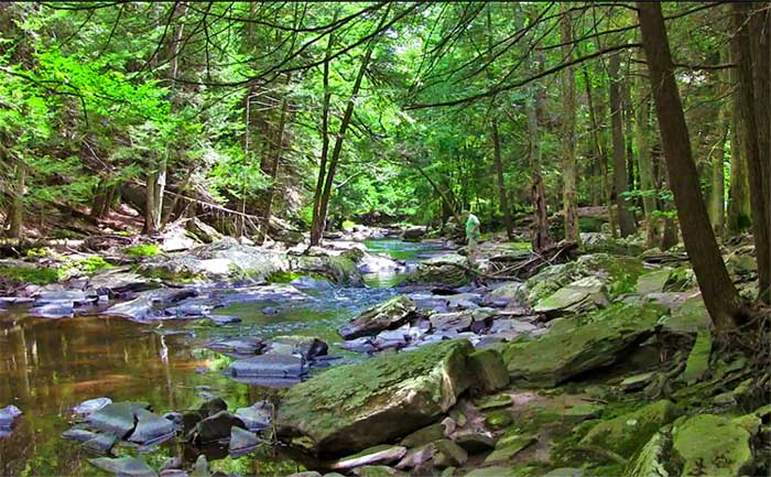 grandma gail's cottage 10 mile river