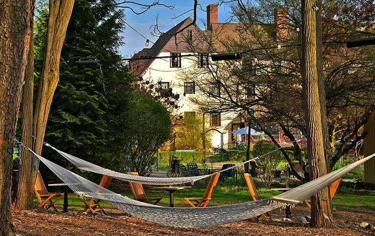 hammocks in grants' woods trees