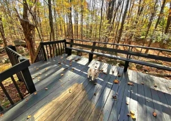 lake ariel cabin deck