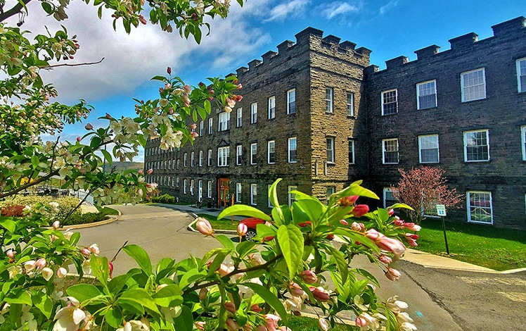 hawley silk mill building and trees