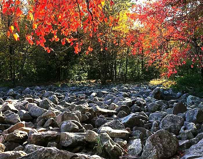 hickory run state park photo of boulder field