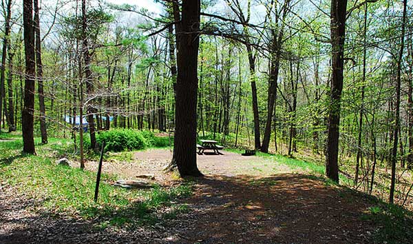 are dogs allowed at hickory run state park camping