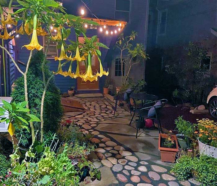 high street guesthouse entrance with flowers