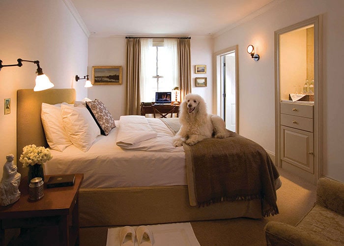 hotel-fauchere-room-with-poodle