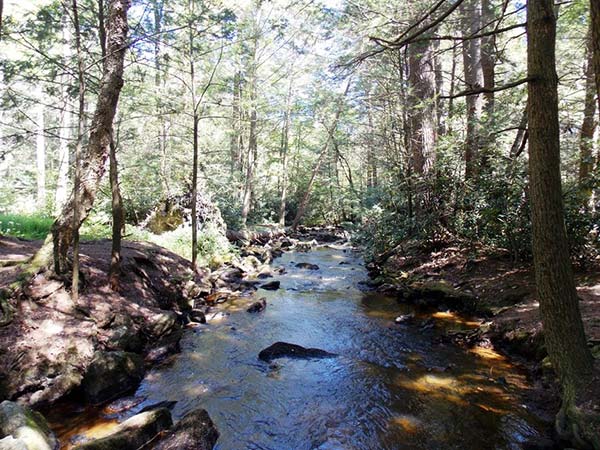 jim-thorpe-camping-resort-mauch-chunk-creek-bridge