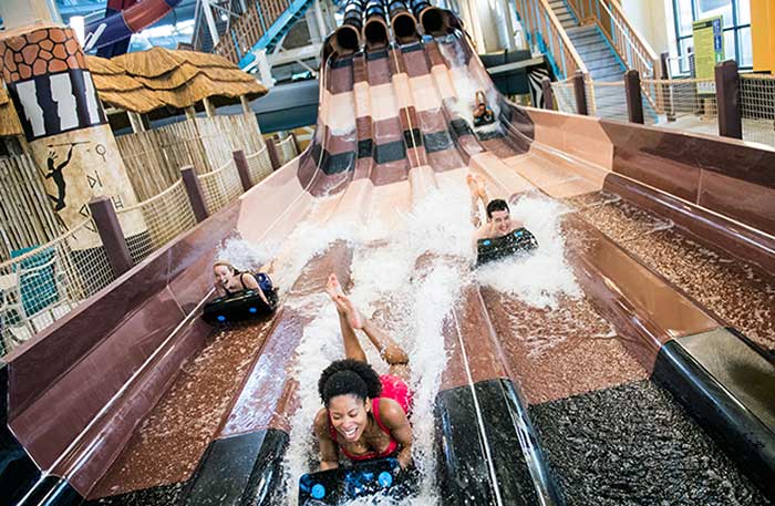 kalahari-indoor-water-park-cheetah-racer