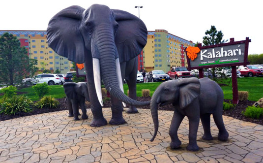 kalahari-water-park-resort-elephants-out-front