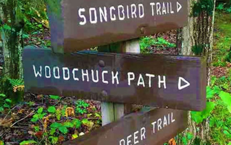 kettle-creek-environmental-center-trail-signs