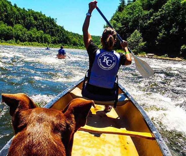 kittatinny-canoes-on-river-with-dog