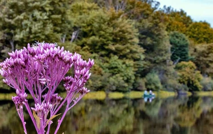 Lackawanna State Park view of lake