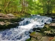 Little Falls Trail waterfall
