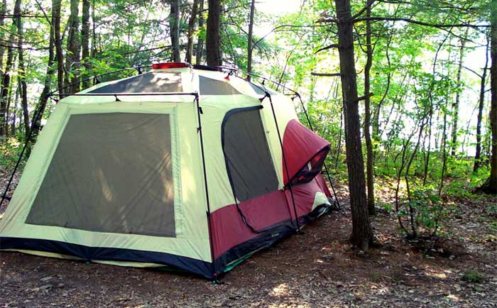 tent site in the woods